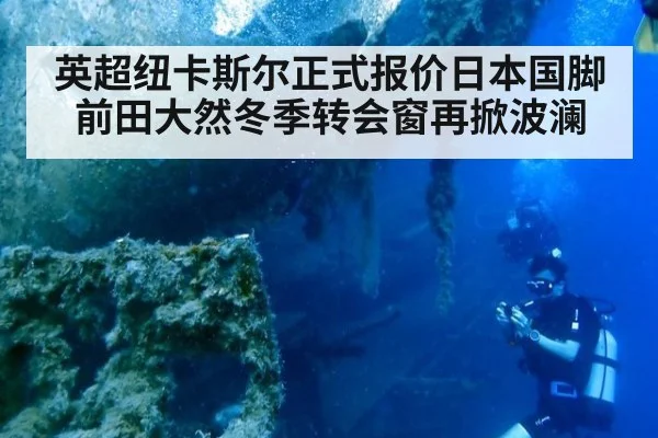 英超纽卡斯尔正式报价日本国脚前田大然冬季转会窗再掀波澜